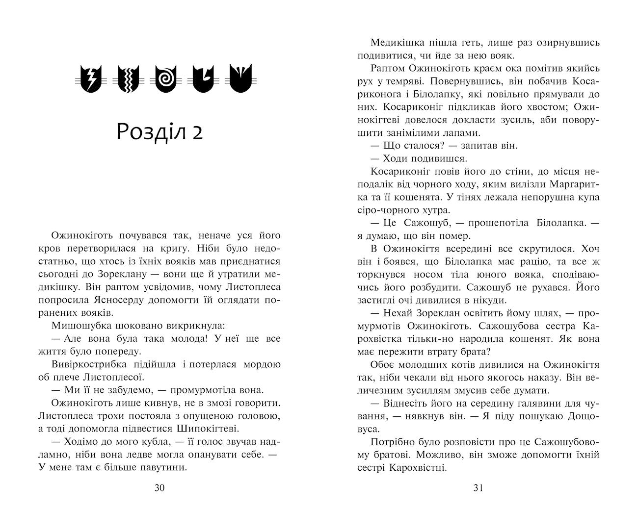 Інша. Приклад розвороту